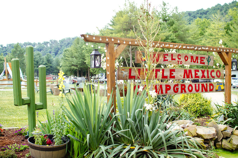 Entrance with sign and cacti